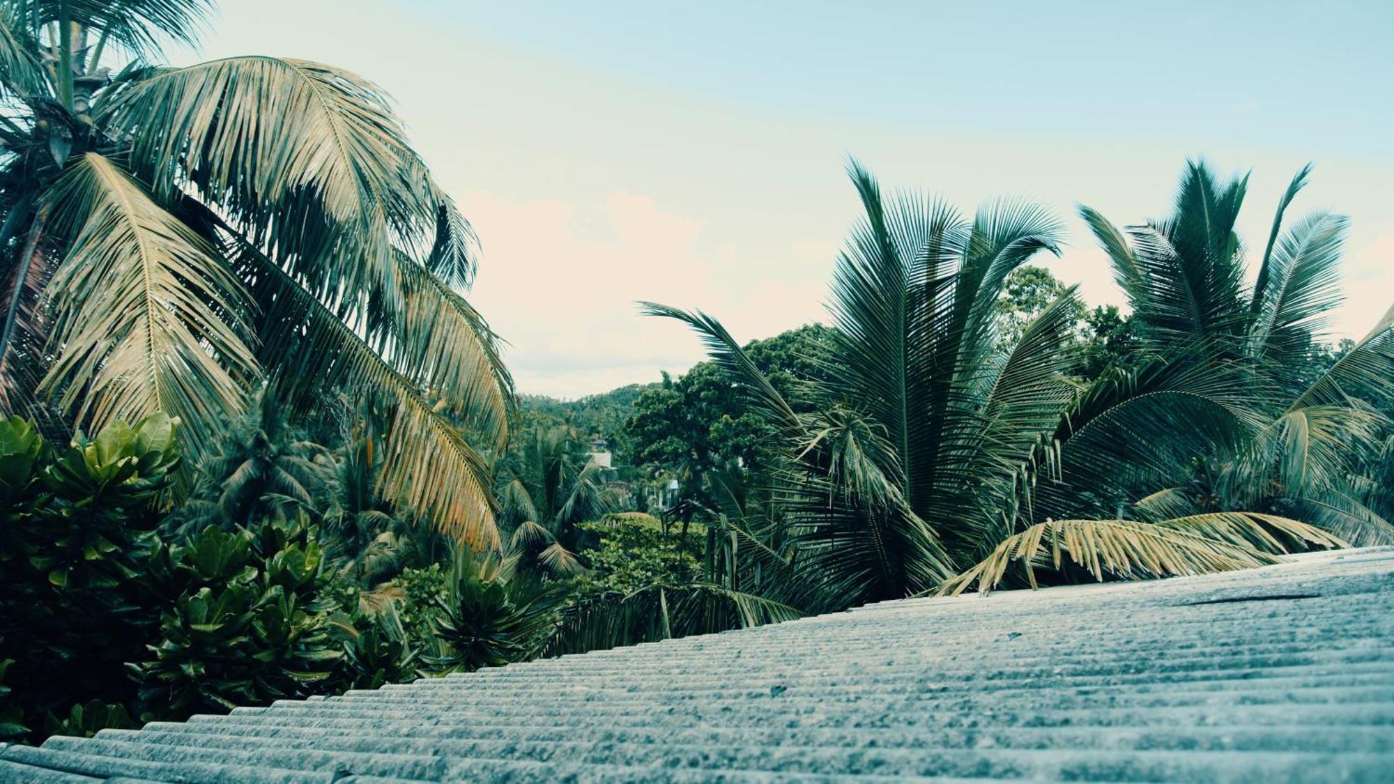 Seashore Mirissa Exterior foto
